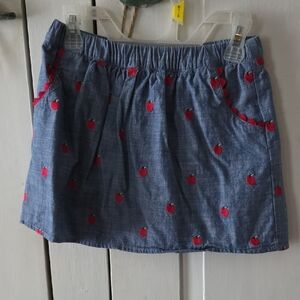 Gymboree Blue Skirt with Red Embroidery